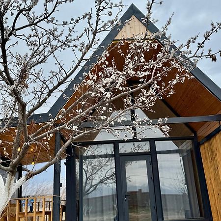 Coral Houses Tossor Luaran gambar